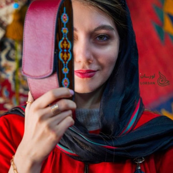 قاب عینک دیدار زرشکی